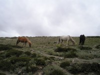 /album/ladack-inde-1/a059-04-ao%c3%bbt-2007-depart-tisaling-col-de-kumar-et-maldanchan-11-jpg/